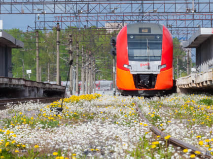 С 30 апреля между Великим Новгородом и Санкт-Петербургом будут ходить дополнительные «Ласточки»
