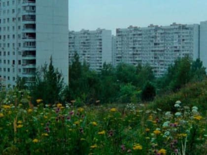 Новгородцы увидят экспериментальный фильм «Обходные пути» о буднях московского закладчика