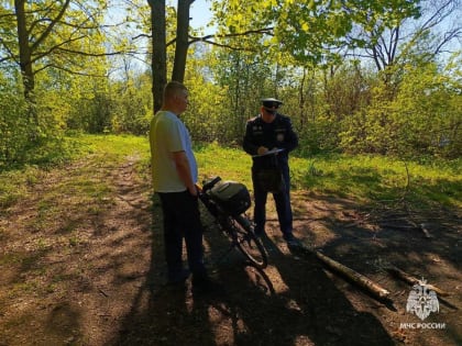 В новгородском парке «Деревяницкая роща» несмотря на запрет разводят костры