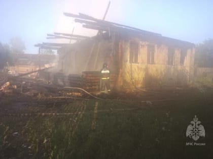 На пожаре в Крестецком районе погиб человек