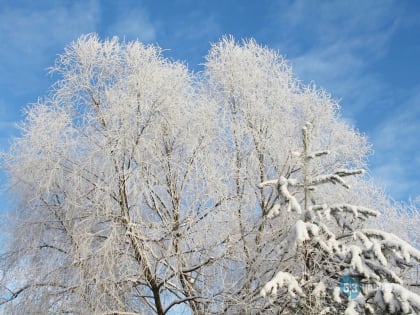 Синоптики рассказали о погоде на Северо-Западе в ближайшее время