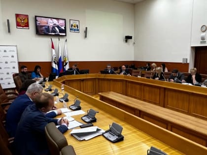 Постоянные комиссии рассмотрели вопросы повестки заседания Думы Великого Новгорода 26.12.2023