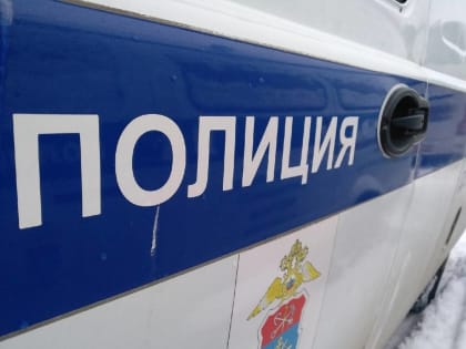 Хоккеиста НХЛ Артемия Панарина оштрафовали за стрельбу в Мошенском округе