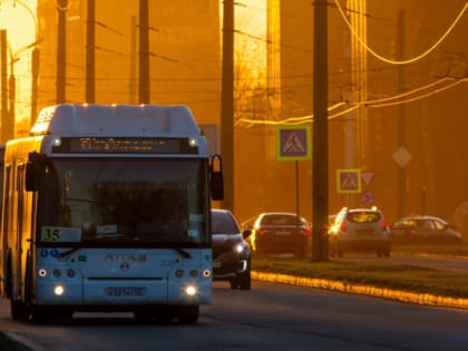 Семнадцать новых автобусов поступят в Новгородскую область до конца года