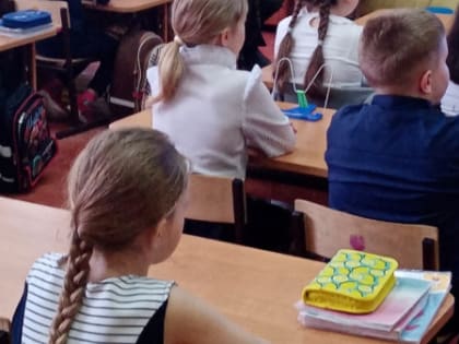 В боровичской школе прошел урок мужества