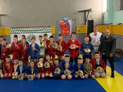 Юные новгородские самбисты получили награды от Деда Мороза