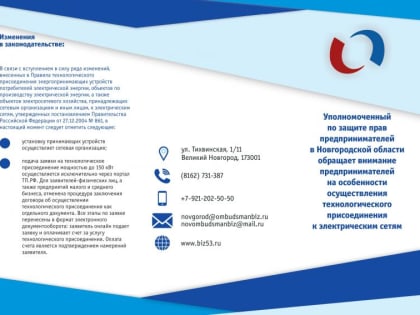 Вниманию предпринимателей! О процедуре осуществления технологического присоединения к электрическим сетям