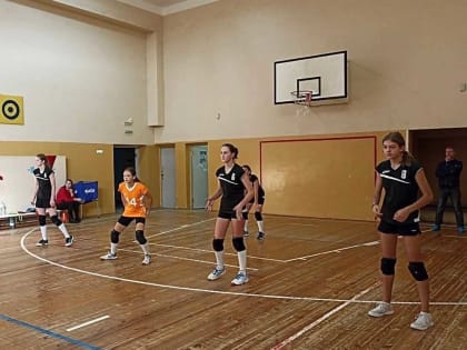 ПЕРВЕНСТВО НОВГОРОДСКОЙ ОБЛАСТИ ПО ВОЛЕЙБОЛУ СРЕДИ ДЕВУШЕК 2008-2009 г.р.