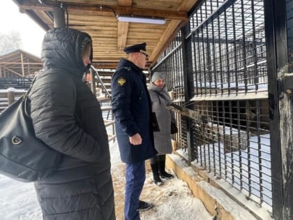 Условия жизни медведицы Маши в новгородском зоопарке проверил природоохранный прокурор