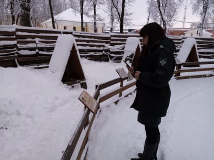 Новгородский соколиный двор получил лицензию на содержание животных