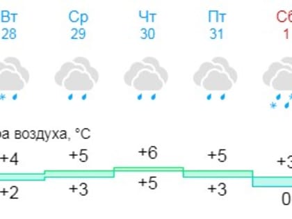 Погода для жителей Великого Новгорода, Боровичей и Старой Руссы с 27 января по 2 февраля