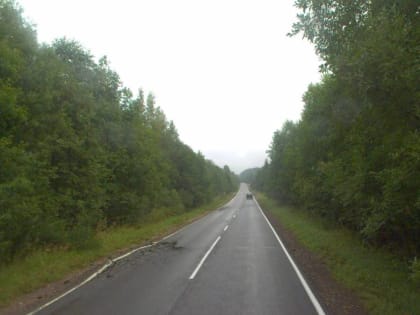 Начался ремонт дороги между Боровичским районом и Хвойнинскийм округом