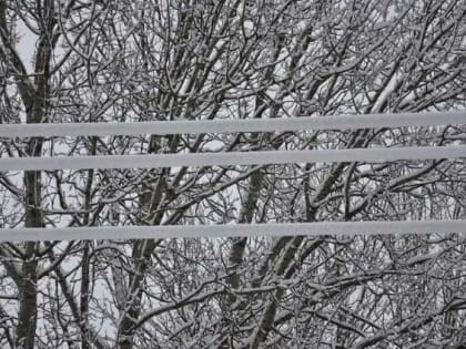 Из-за снегопада в Новгородской области без электричества остались порядка 4500 человек
