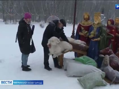 На площади Победы-Софийской в Великом Новгороде начался монтаж Рождественского вертепа