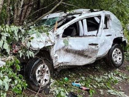 В Любытинском районе в ДТП на Renault Daster погиб мужчина