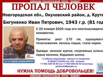 В Окуловском районе идут поиски пожилого мужчины