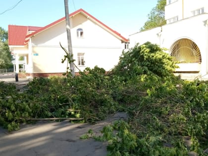 У детской поликлиники на Оловянке автомобиль снёс столб