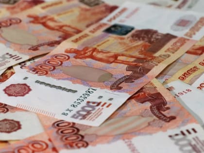 В Любытинском районе вор заменил пятитысячные банкноты на цветные ксерокопии