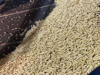 Из Новгородской области в Турцию за год отправлено 36 партий топливных пеллет