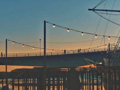 Неделя в сети: апрельский снег и котлета для собаки Нюськи