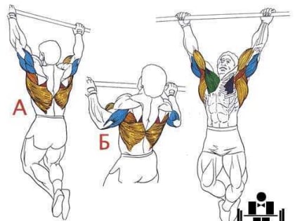 Подтягивание на высокой перекладине.Техника выполнения испытаний  ГТО.