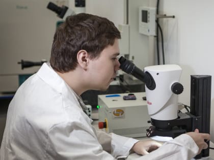 За год численность рабочего населения в Новгородской области сократилась на 8 тысяч человек