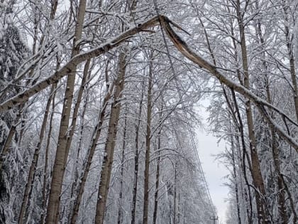 Эпопея: в Новгородской области снова занялись восстановлением электроснабжения