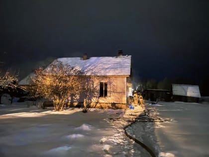На пожаре в Старой Руссе погибли два человека
