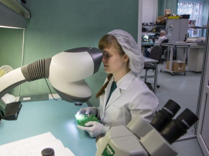 Работодатели Новгородчины стали чаще приглашать на должности в сферах образования и науки