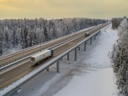 В Новгородской области выросла смертность на дорогах