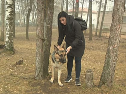 В Великом Новгороде участковая спасла жизнь овчарке