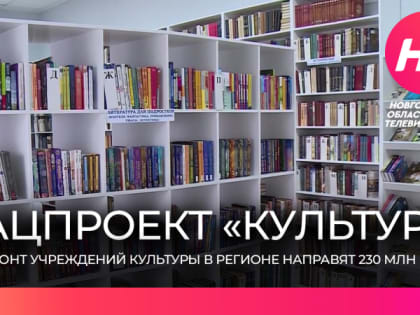 На реализацию нацпроекта «Культура» в Новгородской области в этом году направят свыше 230 миллионов рублей