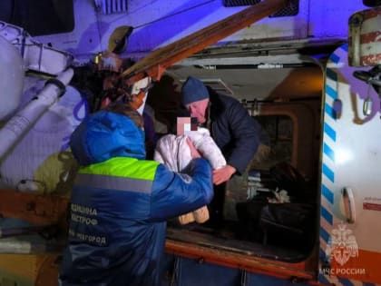 Число пострадавших в массовом ДТП на М-11 в Новгородской области выросло до 20