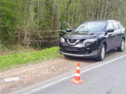 В Новгородском районе косуля погибла под колёсами кроссовера Nissan