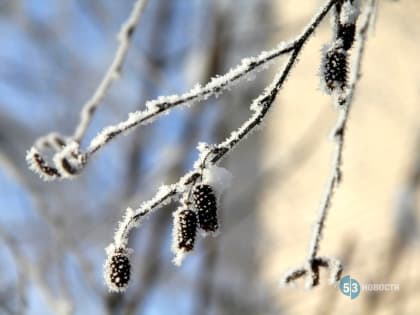 Синоптики рассказали, когда в Новгородскую область вернутся морозы