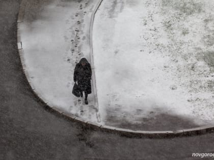 Мокрый снег и дожди вновь ожидают новгородцев в среду