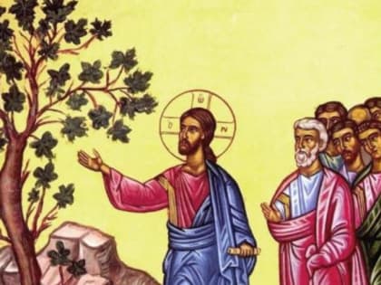 Епископ Арсений: Мы должны спросить себя, не являемся ли мы той бесплодной смоковницей, которая не приносит Богу доброго плода