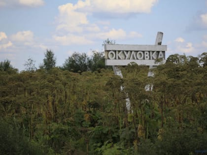 Глава Окуловского района Алексей Шитов уходит в отставку