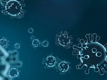 48 жителей Новгородской области заразились коронавирусом