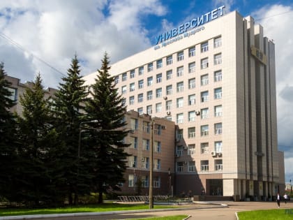 Первокурсников НовГУ обучат проектной деятельности по новой системе