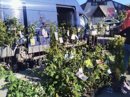 В Новгородской области стартовали осенние ярмарки «Урожай-2023»