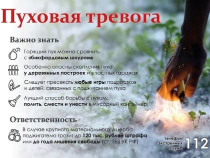 Поджог тополиного пуха опасен!