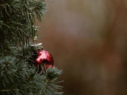 На Екатерининской площади в Боровичах открывается предновогодняя ярмарка