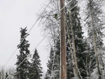 В зоне отключения электроснабжения в Новгородской области находится более 1000 человек