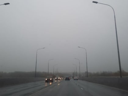 В начале недели в Новгородской области ожидается туман