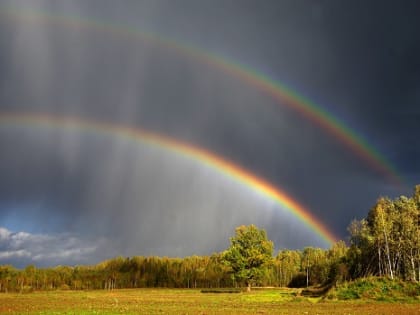 Лесной фотоконкурс