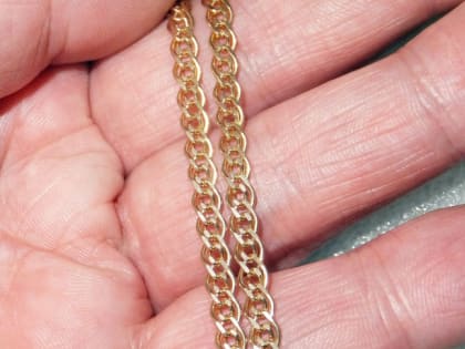 Новгородца, укравшего из бани золото знакомой, приговорили к 2,5 годам колонии