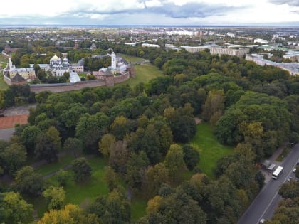 НовГУ два года инвентаризировал деревья в центре Великого Новгорода