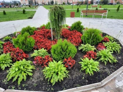 В новгородской мэрии уже задумались о местах для новых цветников