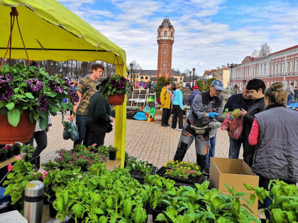 На весенней ярмарке в Старой Руссе торговало более 80 участников